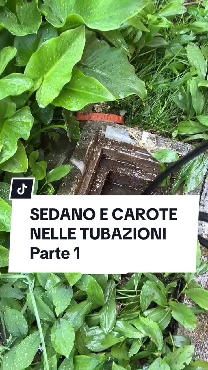 PARTE 1 | SEDANO E CAROTE NELLE TUBAZIONI