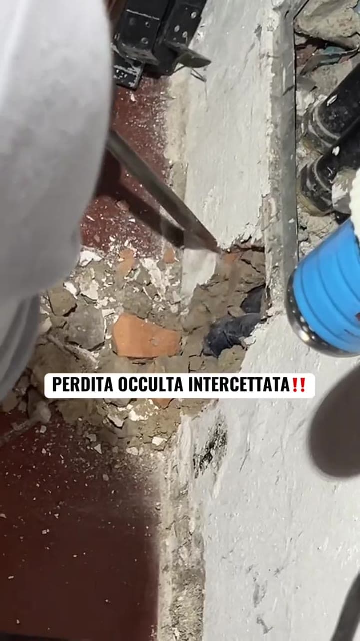 PERDITA OCCULTA INTERCETTATA‼️