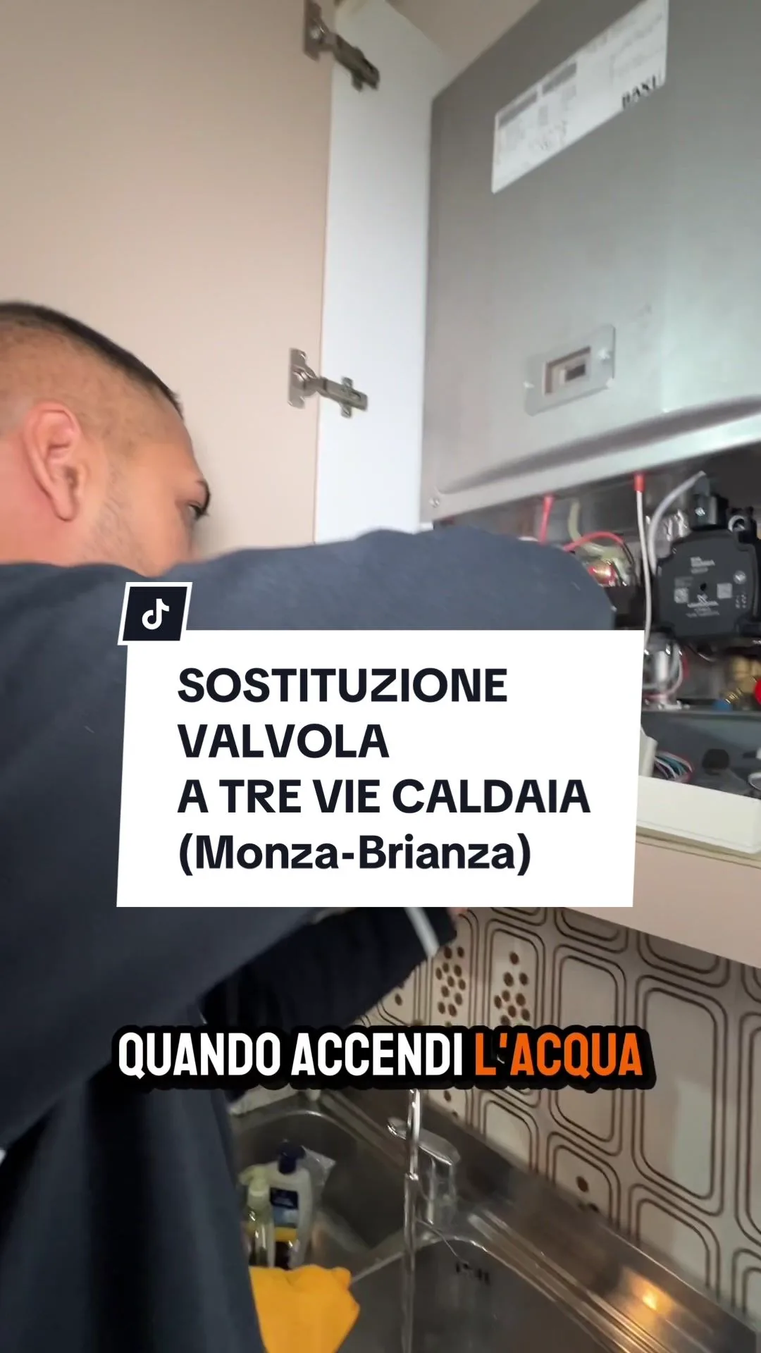 SOSTITUZIONE VALVOLA A TRE VIE CALDAIA (Monza-Brianza)